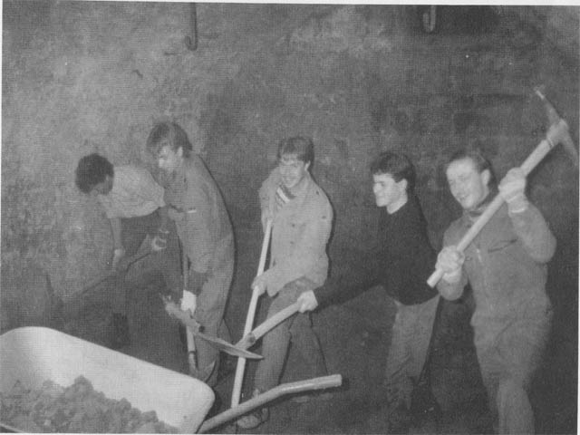 Boden bis zu 50cm tief abtragen lkj